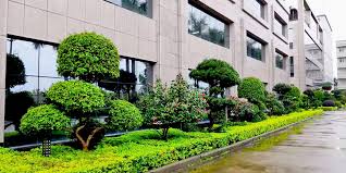 公建园林景观设计